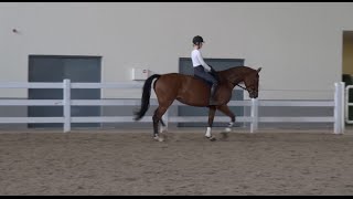 River's 1st Time Bareback and Tackless