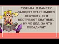 Дед на зоне. Сборник Веселых Жизненных анекдотов для Настроения! Приколы!