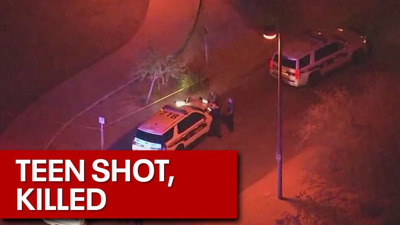 Teen dies after being shot in park - YouTube