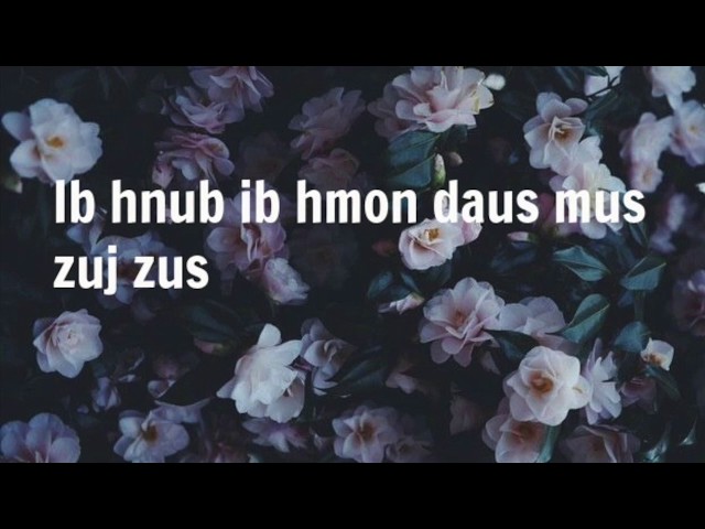 Thov Tso Kuv Mus- Halo Zong & Sandy Moua (Lyrics) class=