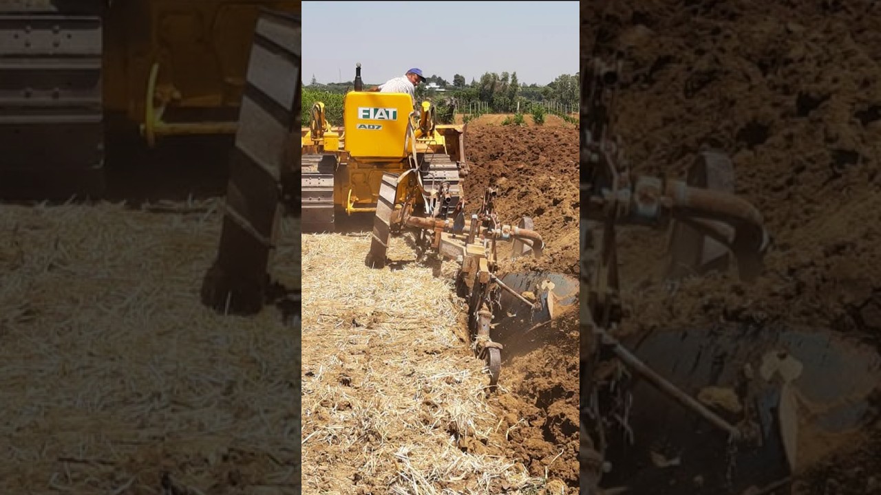 Fiat Allis AD7 Deep Aratura Performance | Italian Crawler Power in Action 🇮🇹🚜