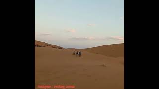 best way to explore the Sahara desert 🏜 | ride  camels 🐪| sunset...🌋
