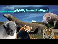 الحيوانات المهددة بالانقراض اسباب انقراض الكائنات الحية