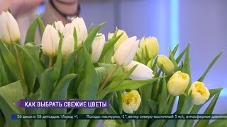 Как правильно выбрать свежие цветы