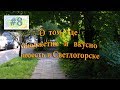 О том, где недорого и вкусно поесть в Светлогорске.