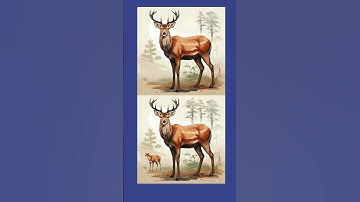 Spot the Differences:  Train your brain to find 3 differences