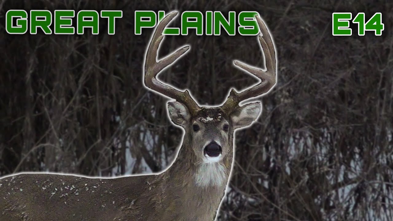 Best Bucks Of 2024, A Deer Season To Remember 