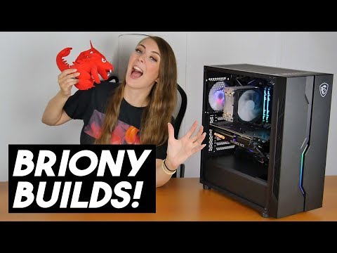 BRIONY встраивает ИГРОВОЙ ПК в корпус MSI VAMPIRIC 010! BRIONY встраивает ИГРОВОЙ ПК в корпус MSI VAMPIRIC 010!