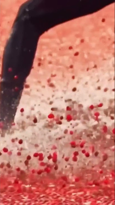 These cranberries are sent all over the world, maybe what you have in your mouth is one of the ones