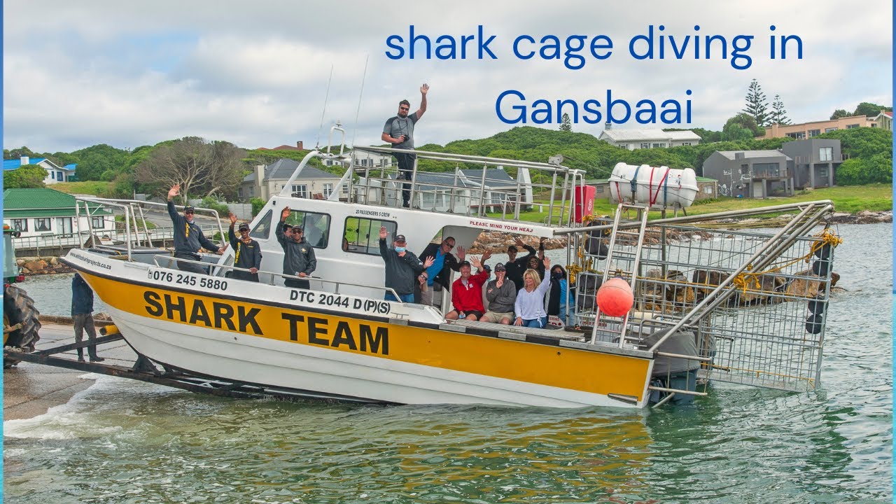 INSIDE THE SHARK CAGE!!! YouTube