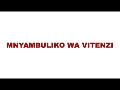 Video: Jinsi ya kutumia vitenzi vya kutenda?