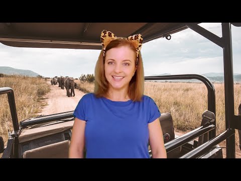 Video: Fem av de beste luksushyttene i Kruger nasjonalpark