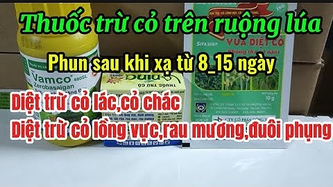 Đặc trị cỏ lác, cỏ chác, cỏ lồng vực, đuôi phụng,rau mác,rau mương trên ruộng lúa.