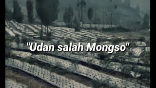 Story WA Bahasa Jawa : Udan Salah Mongso