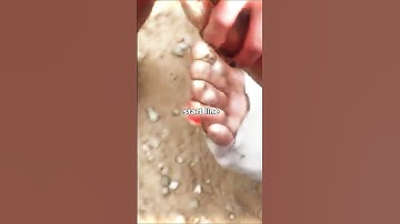 David Goggins Badwater Race