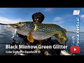 Black Minnow color España 2019: Estreno en Embalse de Orellana