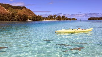 2.   Assembling Geeetech Rostock 301 3D Printer Сборка  3Д Принтера  3 color in 1 3 цвета в 1