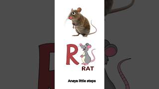 R for Rat 🐀 | Learn ABC with Fun | Kids Learning Video #shorts #kidslearning #tranding #viral