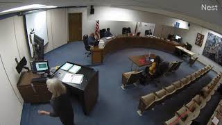 Planning Commission Meeting 12/01/2020