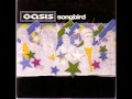 Oasis - (You&#39;ve Got) The Heart Of A Star
