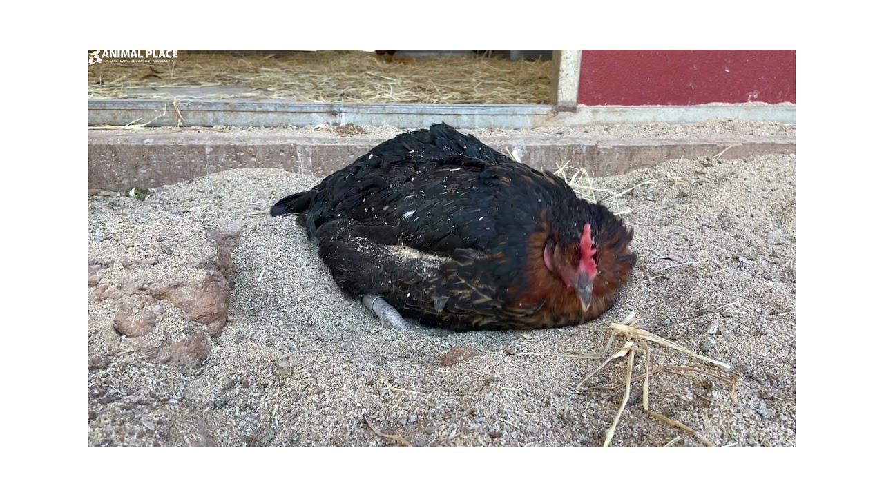 It's The Simple things..