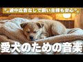 🐾愛犬が落ち着くリラックス音楽（広告なし）愛犬が落ち着くヒーリングBGM / vol.273