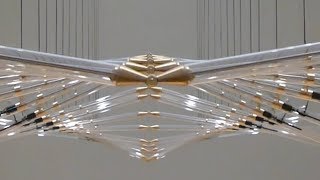 Studio Drift - Coded Nature