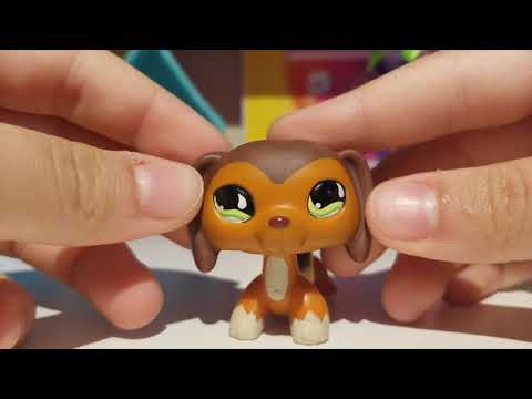 LPS- Florida vlog #5: Finale!! + LPS haul! LPS- Florida vlog #5: Finale!! + LPS haul!