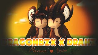 Transformice - Dragonbzx aka Drahz