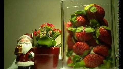 Strawberries Rotting  --- Raspberry PI Time-lapse