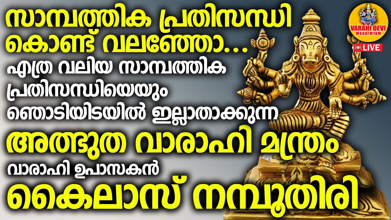 എത്ര വലിയ സാമ്പത്തിക പ്രതിസന്ധിയെയും ഞൊടിയിടയില്‍ ഇല്ലാതാക്കുന്ന അത്ഭുത വാരാഹി മന്ത്രം..VARAHI LIVE