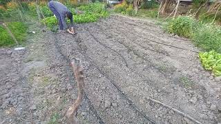 Yaz Bahçesi̇ Di̇ki̇mi̇