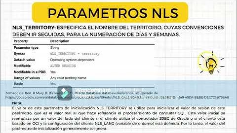 video exposición basesII