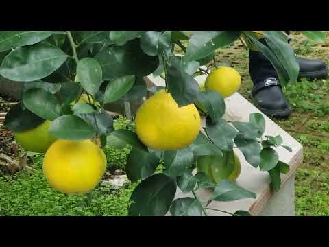 오소리커피콩농장🕺💃🎄🎅🎁🎀🔔☕️🍔