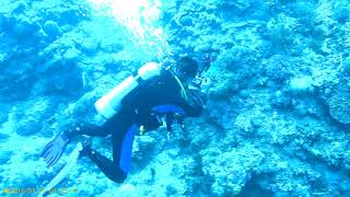 20171031綠島 37