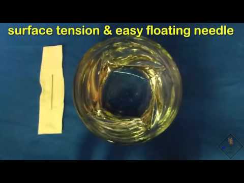 use toilet paper to get a needle to float on water a science with bobert video short