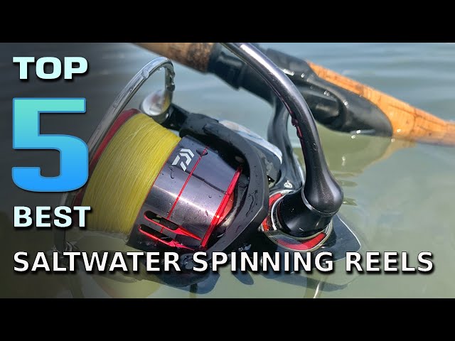 best conventional saltwater reel redfish Top 5 Best Saltwater Spinning Reels for Redfish/Surf Fishing/Tuna/Redfish &  Jigging [Review 2023]