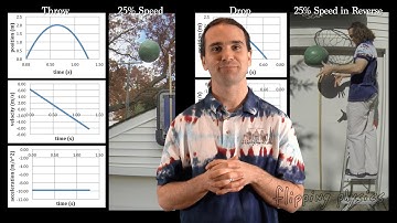 The Drop and Upward Throw of a Ball are Very Similar