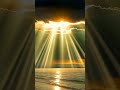 Цитата - Никита Гилл #shorts #цитаты  #саморазвитие #рекомендации #успех #motivation