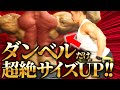 【背筋筋肥大種目】実はこれだけで超デカくなる【日体大准教授】