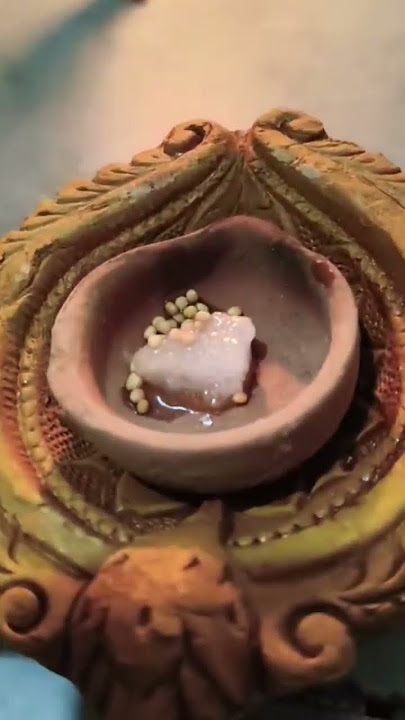 🧿🕉️ सुबह शाम यह दिव्या उपाय पीली सरसों घी कपूर धन के भंडार भर देगी माँ भगवती #upay