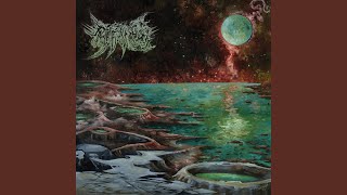 Internal Deliquescence