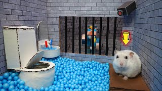 🐹Hamster Escapes Prison Maze: The Great Escape With Fly🪰 For Pets In Real Life