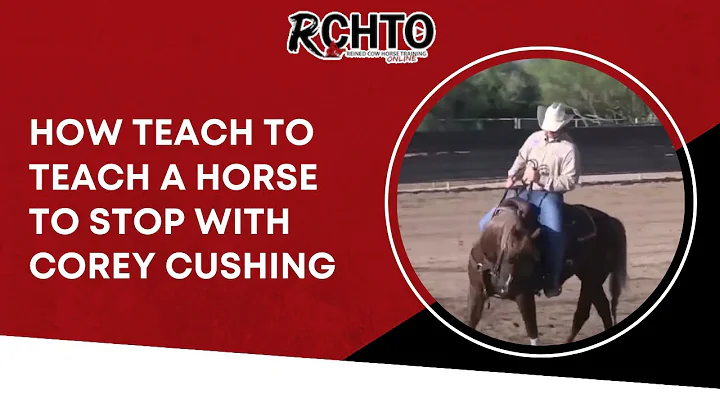 How Teach To Teach A Horse To Stop With Corey Cush...