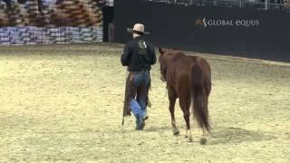 Fernando Rolim - Equitana 2015 - Global Equus
