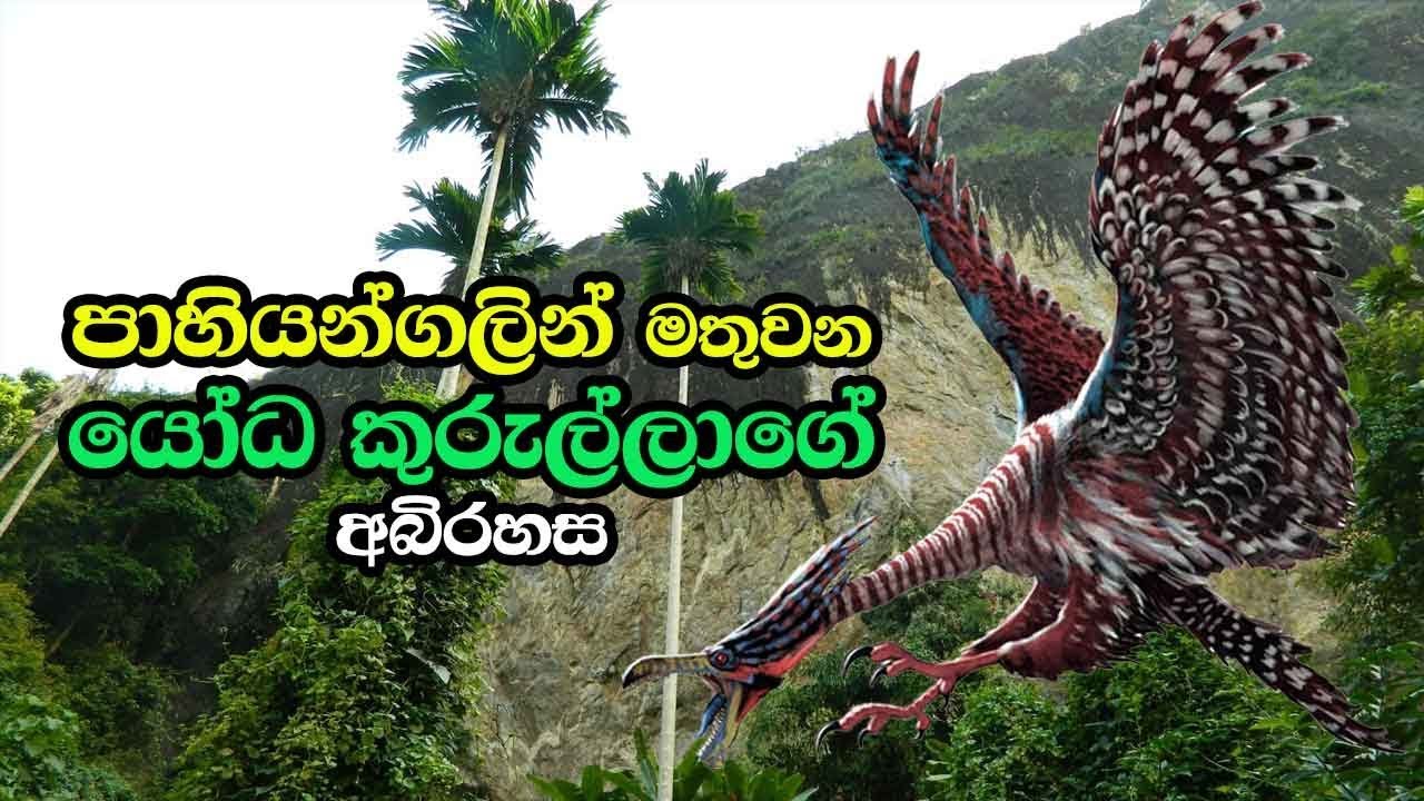 පාහියන්ගලින් මතුවන යෝධ කුරුල්ලාගේ අබිරහස - Pahiyangala Cave In Bulathsinhala