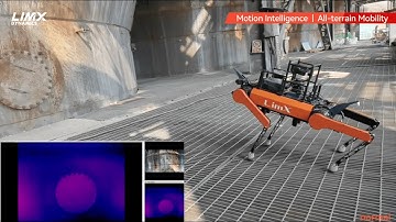 LimX Dynamics