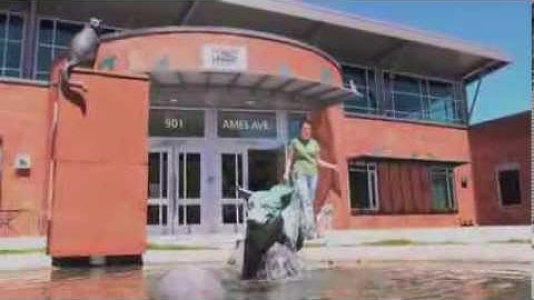 Humane Society Silicon Valley