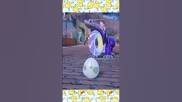 Shiny Rowlet in 356 Eggs!!! (live reaction)