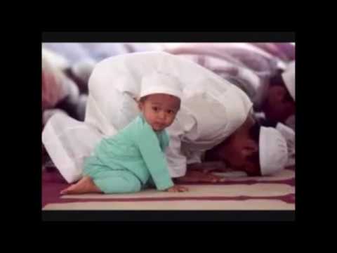 رخصة الإفطار لمن؟ 